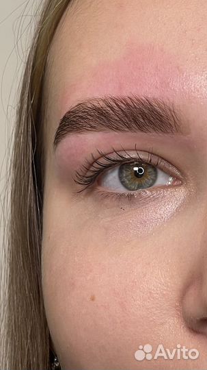 Мастер бровист