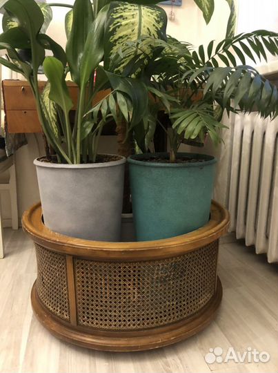 Поставка под цветы на колесах Medea (Италия)