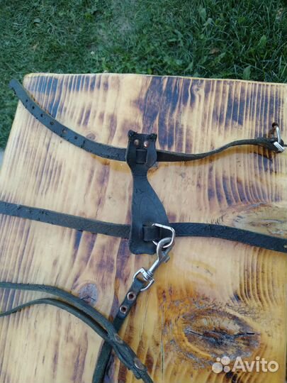 Шлейка для кошки