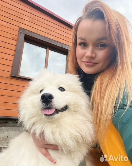 Передержка животных зоогостиница