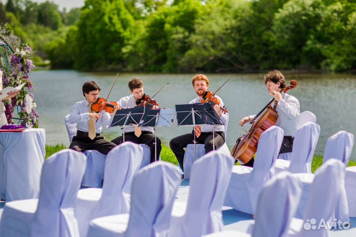 Струнный квартет 