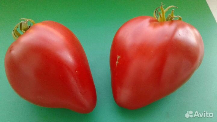Семена и Рассада Коллекционных помидоров томатов