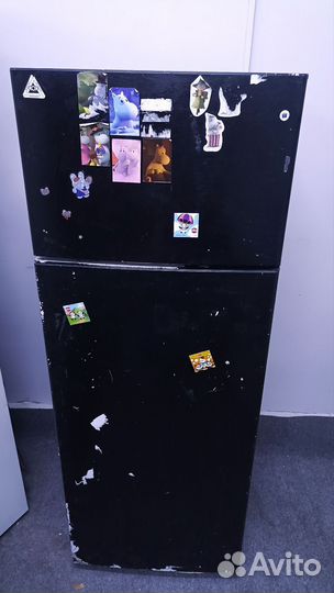 Холодильник Candy Бесплатная доставка