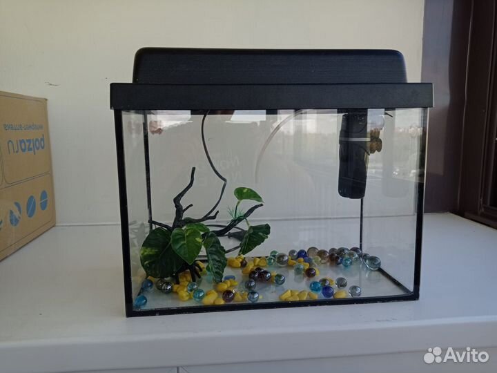 Аквариум