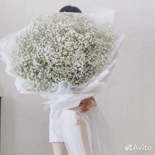 Букет гипсофилы цветы с доставкой