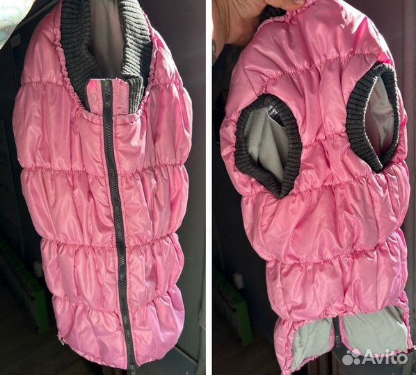 Одежда и амуниция для собак