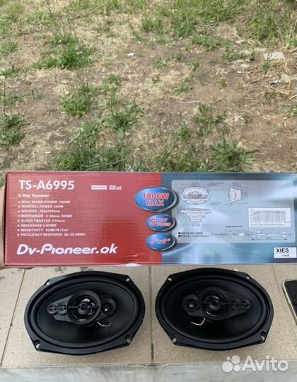 Динамики Pioneer TS-A6975