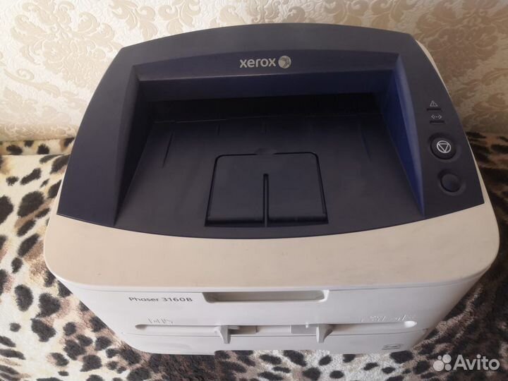 Принтер xerox 3160