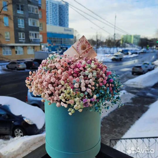 Гипсофил цветной в шляпной коробке