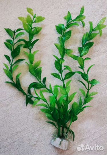 Декоративные конструкции и растения для аквариума