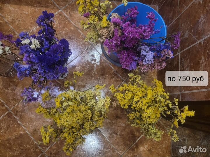 Цветы статицы и гелихризумы