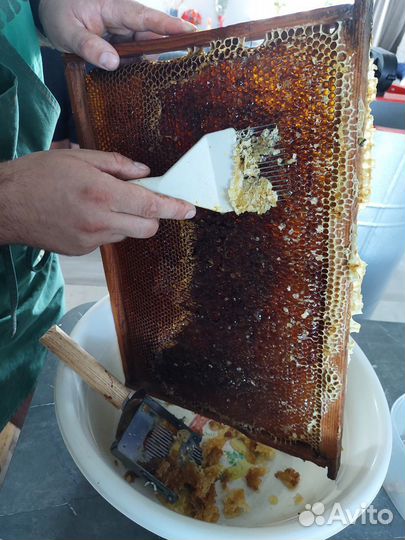 Мëд разнотравье