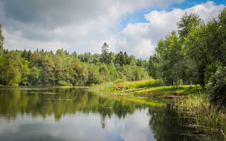 Участок 14,6 сот. (СНТ, ДНП)