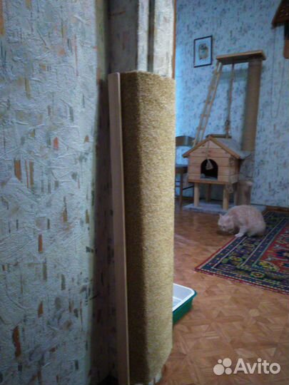 Когтеточка универсальная для кошек