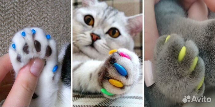 Антицарапки для кошек