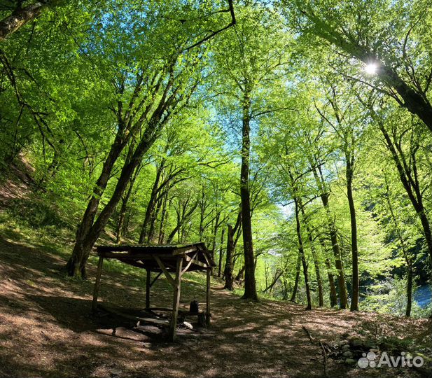 Аренда GoPro Hero 11