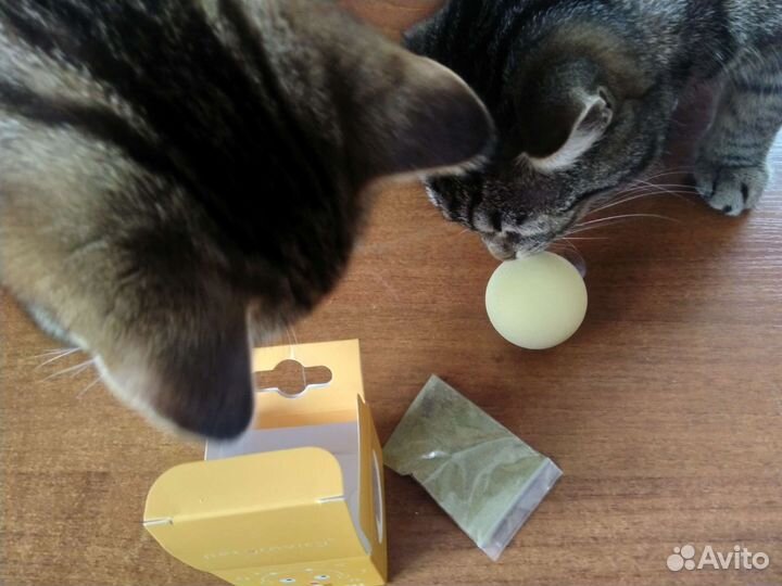 Игрушки для кошек со звуком