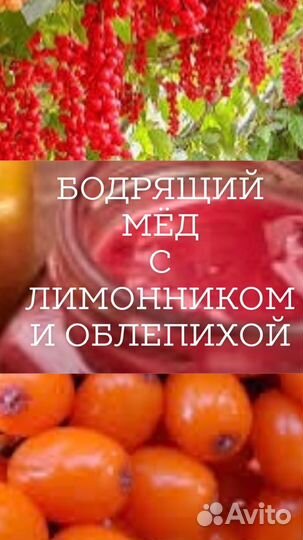 Ягоды Лимонника с Облепихой на меду/Тонизирующий
