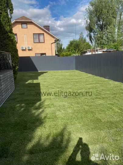 Рулонный газон напрямую от производителя