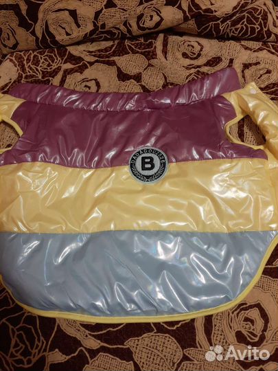 Одежда для средних собак