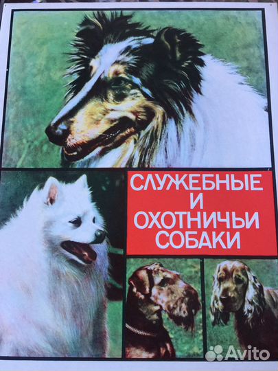 Спички коллекционные