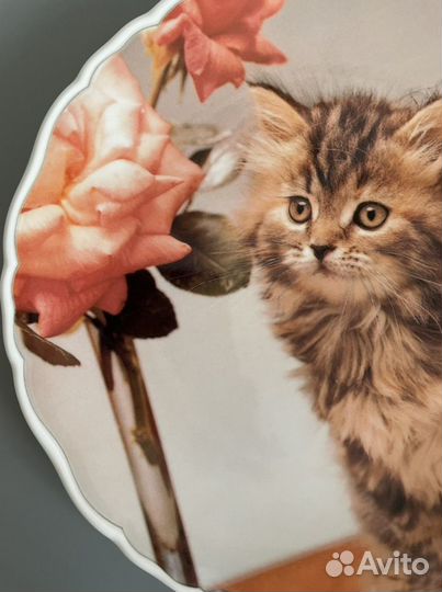 Royal Albert,фарфоровые тарелки,Англия