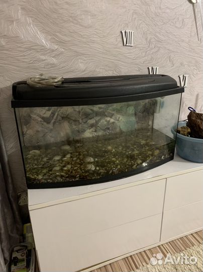 Аквариум