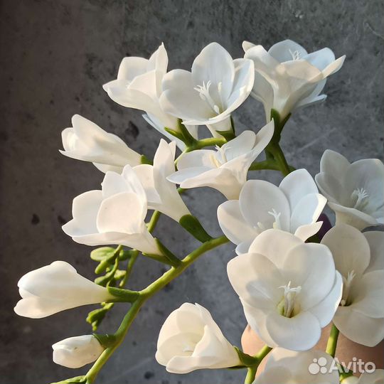 Фрезия холодный фарфор