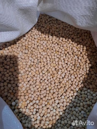 Горох, кукуруза