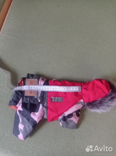 Одежда для маленьких собачек