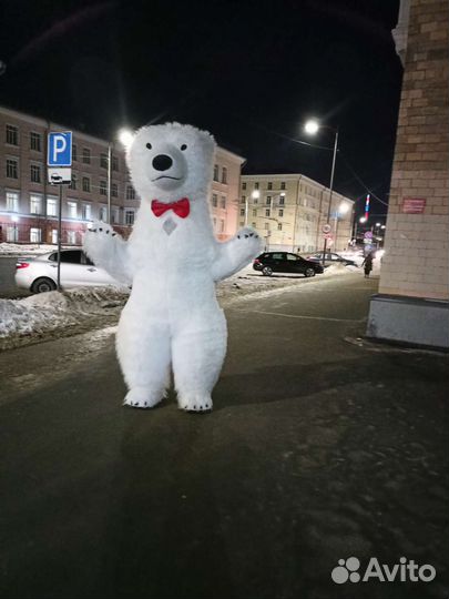 Белый медведь аниматор