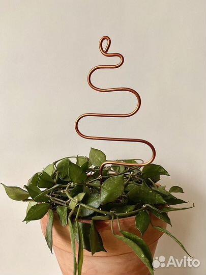 Опора для комнатных растений