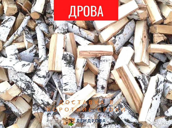 Дрова березовые