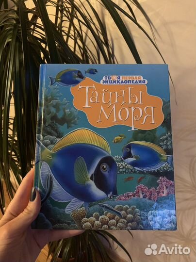 Книга для детей