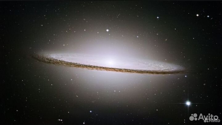 Телескоп Celestron Nexstar evolution 8