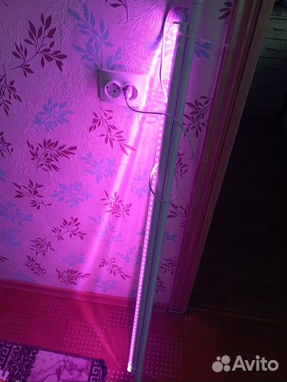 Светодиодная лампа