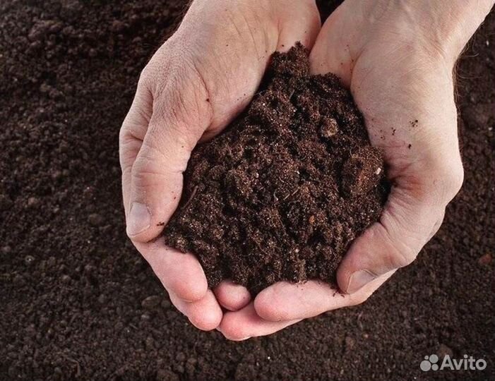 Грунт плодородный