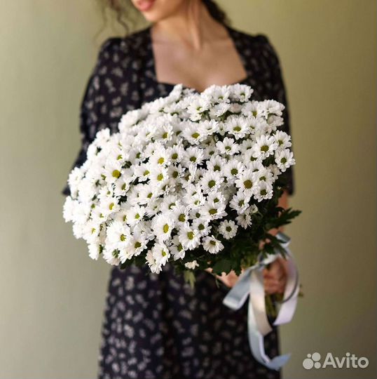 Хризантема Букеты с доставкой