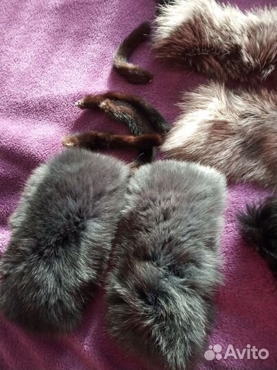 Шкурка животного