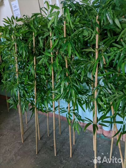 Искусственный бамбук изгородь, ширма