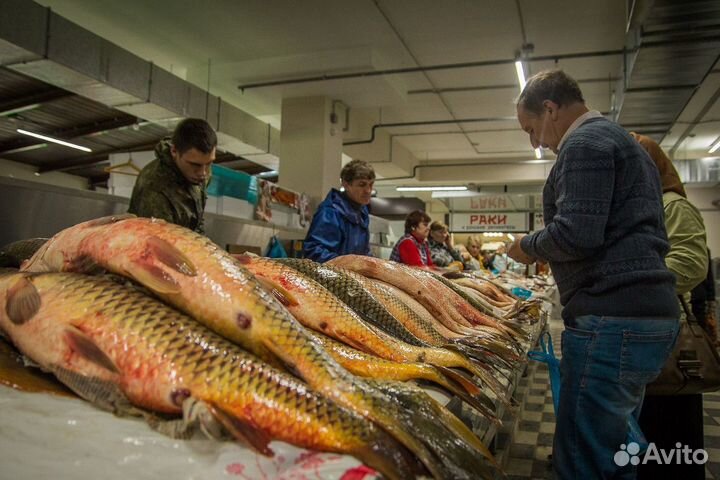 Магазин свежей рыбы Море Вкуса