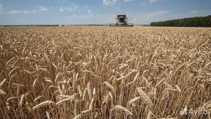 Сельхозпредприятие