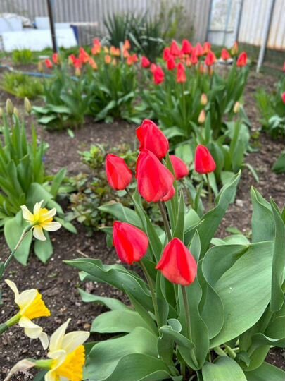 Дом 93 м² на участке 29,9 сот.