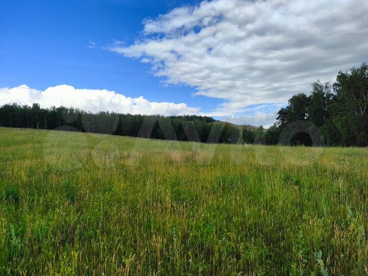 Участок 3 га (СНТ, ДНП)