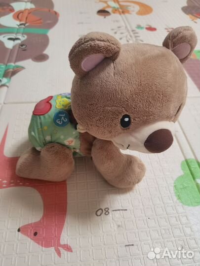 Медведь ползающий