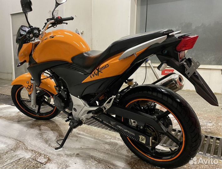Stels flex 250