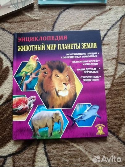 Детская энциклопедия