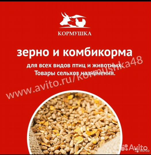 Термометр высокоточный бм-10 1шт