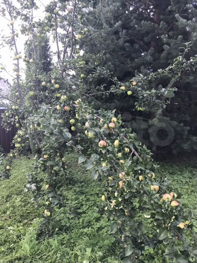 Коттедж 400 м² на участке 20 сот.