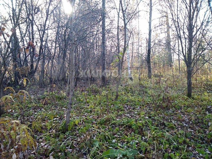 Участок 8 сот. (СНТ, ДНП)